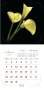 Календарь на 2022 год "Магия цветов" (КР23-22022) фото книги маленькое 4