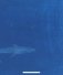 Синий кит фото книги маленькое 9
