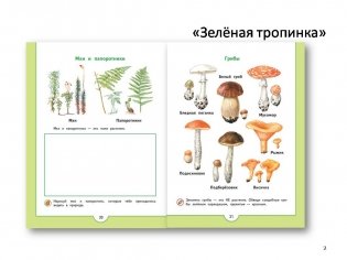 Зеленая тропинка. 5-7 лет фото книги 2