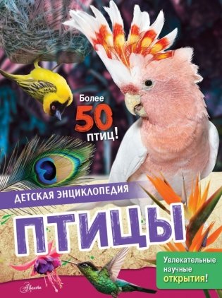 Птицы фото книги