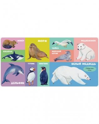 Книжки-картонки. 100 животных фото книги 4