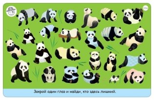 Асборн - карточки. Тренируем зрение фото книги 2