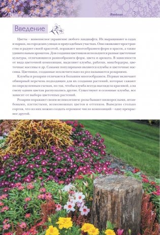 Цветники, розарии, клумбы фото книги 3