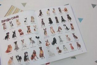 Детская энциклопедия в 2000 иллюстраций, которые можно рассматривать целый год фото книги 5