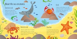 Under The Sea Matching Games And Book фото книги 2