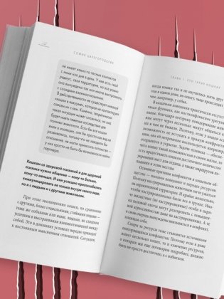 Кошачий закон и порядок. Как найти общий язык с кошкой и не стать жертвой ее капризов фото книги 4
