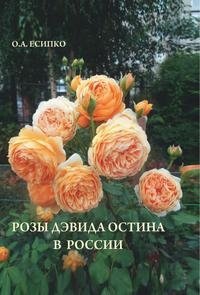 Розы Дэвида Остина в России фото книги