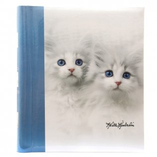 Фотоальбом "K.Kimberlin: F.Kittens" (20 листов) фото книги