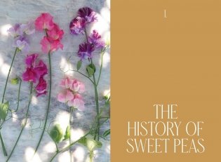 Sweet Pea School: Growing & Arranging the Garden’s Most Romantic Blooms фото книги 6