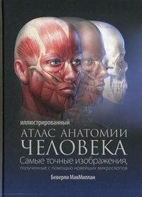 Иллюстрированный атлас анатомии человека фото книги