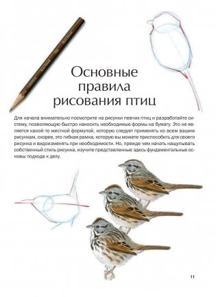 Как рисовать птиц. Руководство фото книги 9