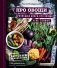 ПРО овощи! Большая книга про овощи и не только фото книги маленькое 2