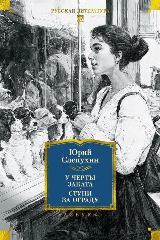 У черты заката. Ступи за ограду фото книги