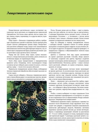 Энциклопедия лекарственных растений фото книги 8