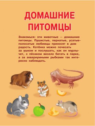 Первая книга о животных фото книги 5