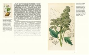Выдающиеся растения, которые изменили нашу жизнь фото книги 4