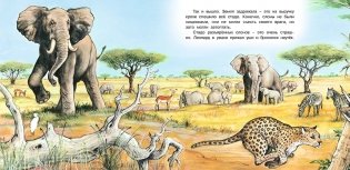 Приключения слоненка фото книги 3
