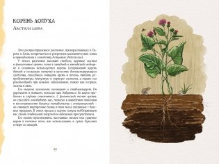Гримуар благополучия. Как найти опору внутри и жить без тревог фото книги 8