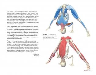 Ключевые позы йоги. Руководство по функциональной анатомии йоги фото книги 6
