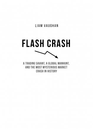 Flash Crash. История о трейдере-самоучке, обвалившем финансовый рынок на 1 трлн $ фото книги 3