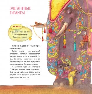 Индия. Страна мудрецов фото книги 3