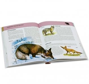 Животные. Полная энциклопедия фото книги 4