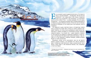 Антарктида фото книги 3