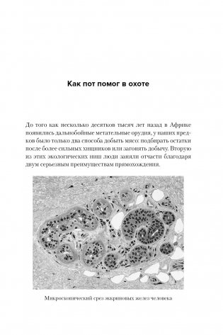 Цифры не лгут. 71 факт, важный для понимания всего на свете фото книги 7