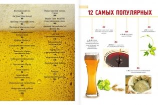 Сам себе пивовар. Первая пивная книга от российских блогеров фото книги 3