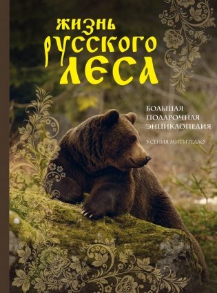 Жизнь русского леса фото книги