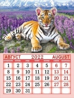 Календарь на магните на 2022 год "Символ года - Тигр" фото книги 2