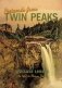 Postcards from Twin Peaks фото книги маленькое 2
