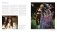 Tim Burton фото книги маленькое 6