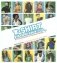 T-Shirt Makeovers: 20 Transformations for Fabulous Fashions фото книги маленькое 2