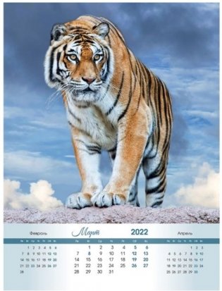 Тигры. Календарь настенный на 2022 год фото книги 6