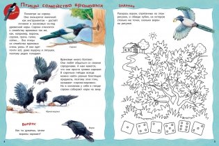 Как живут птицы? Книжка-активити с развивающими заданиями, головоломками, наклейками фото книги 3