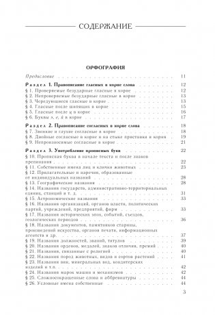 Русский язык. Большой справочник фото книги 4