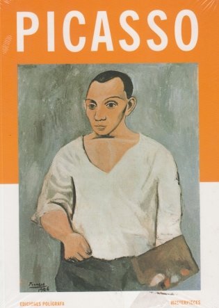Picasso фото книги