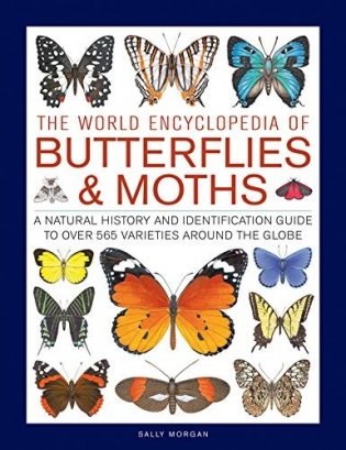 The World Encyclopedia of Butterflies & Moths: A Natural History and Identification Guide to Over 565 Varieties Around the Globe фото книги