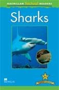 Sharks фото книги