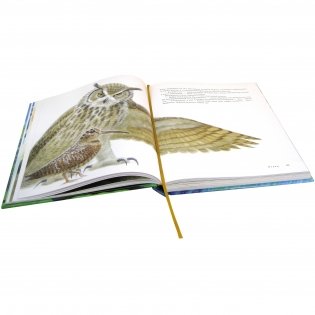 Вниз по Причуди (с иллюстрациями Владимира Стахеева) фото книги 6