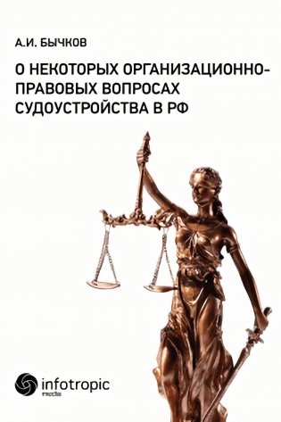 О некоторых организационно-правовых вопросах судоустройства в РФ фото книги