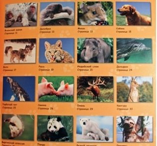 Млекопитающие фото книги 2