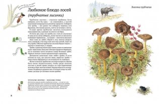 Софи в мире грибов фото книги 3