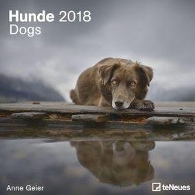 Календарь настенный "Пёс" на 2018 год фото книги