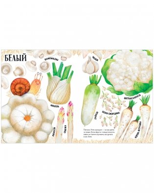 Приключения улитки Элли в мире фруктов и овощей (мягкая обложка) фото книги 11