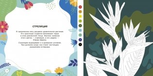 Цветы и бабочки фото книги 5