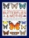 The World Encyclopedia of Butterflies & Moths: A Natural History and Identification Guide to Over 565 Varieties Around the Globe фото книги маленькое 2