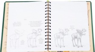 SketchBook. Рисуем животных. Экспресс-курс рисования фото книги 5