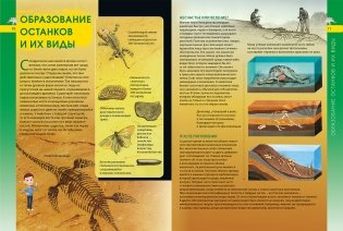 Динозавры. Энциклопедия для мальчиков и девочек фото книги 3